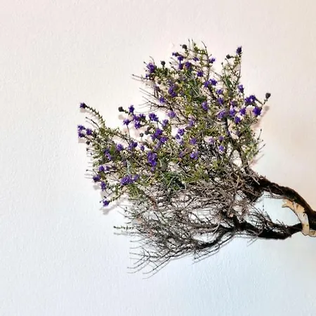 Lefkanthemo Διαμέρισμα *