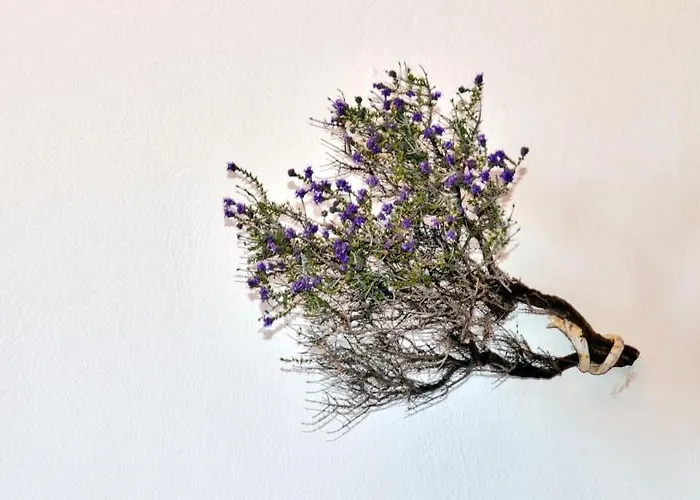 Lefkanthemo Apartament *